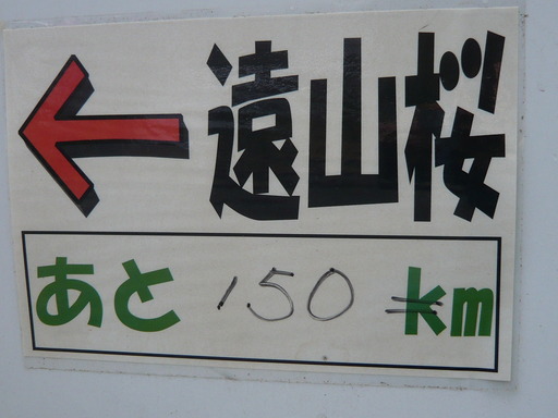ルミックス遠山桜 041.JPG